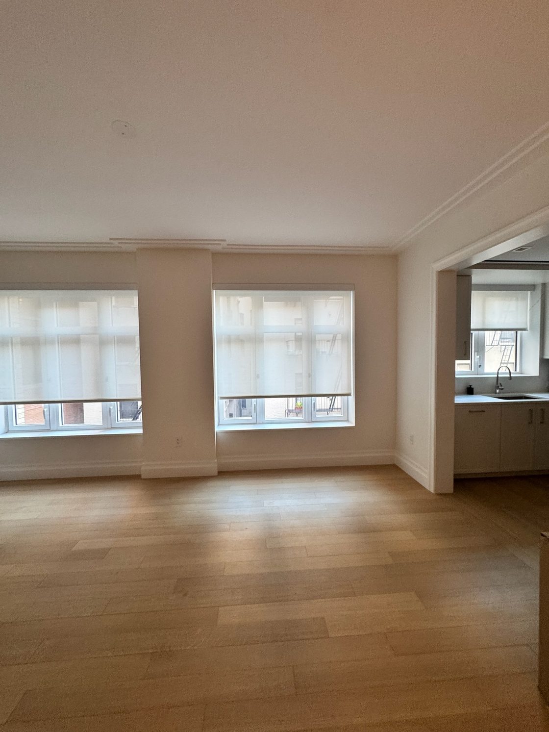 Light filtering roller shades in a renovated living room